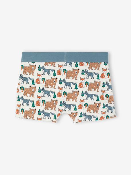 Pack of 5 boxers for boys beige 