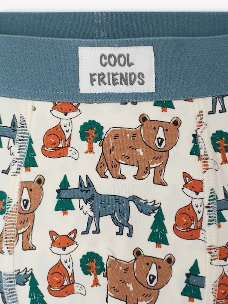 Pack of 5 boxers for boys beige 