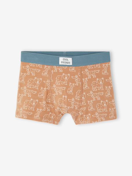 Pack of 5 boxers for boys beige 