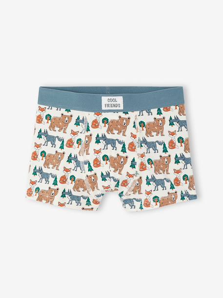 Pack of 5 boxers for boys beige 
