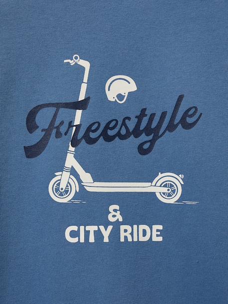 Printed long-sleeved T-shirt by CYRILLUS grey blue 