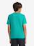 The T-shirt Lizard Breath by CONVERSE green 