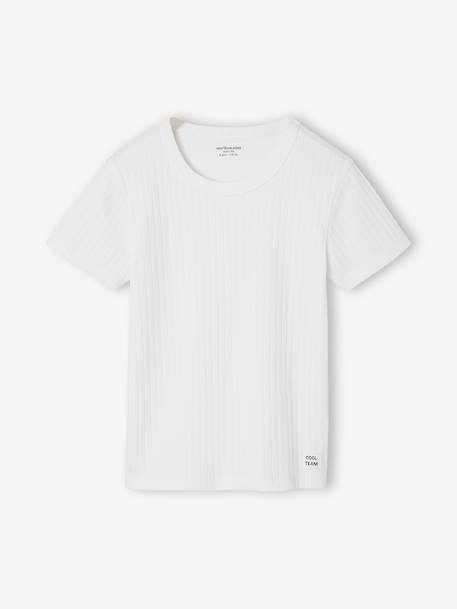 Pack of 3 short-sleeved T-shirts for boys sky blue 