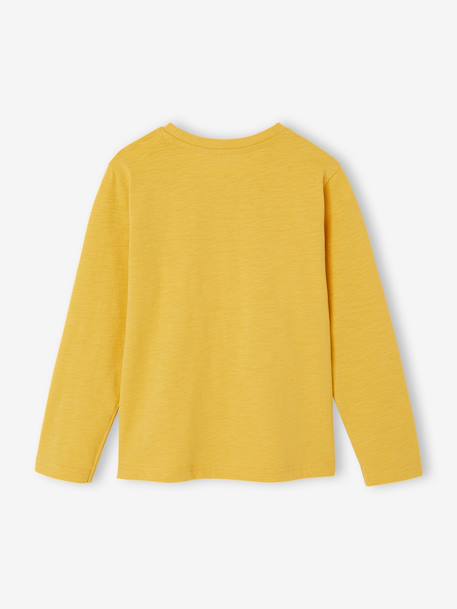 Long Sleeve Colour Top for Boys Blue+fir green+Green+pale yellow+red+yellow 