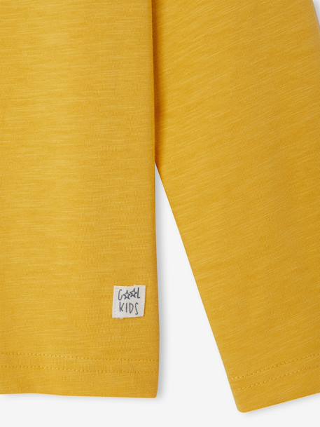 Long Sleeve Colour Top for Boys Blue+fir green+Green+pale yellow+red+yellow 