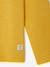 Long Sleeve Colour Top for Boys Blue+fir green+Green+pale yellow+red+yellow 