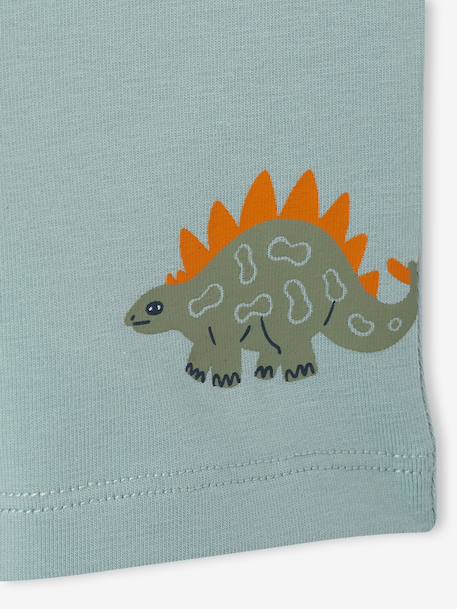 Pack of 5 boxer shorts for boys aqua green 
