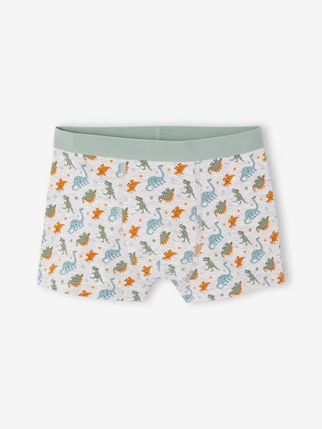 Pack of 5 boxer shorts for boys aqua green 