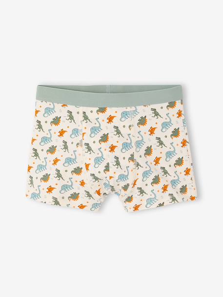 Pack of 5 boxer shorts for boys aqua green 