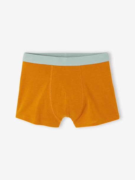 Pack of 5 boxer shorts for boys aqua green 