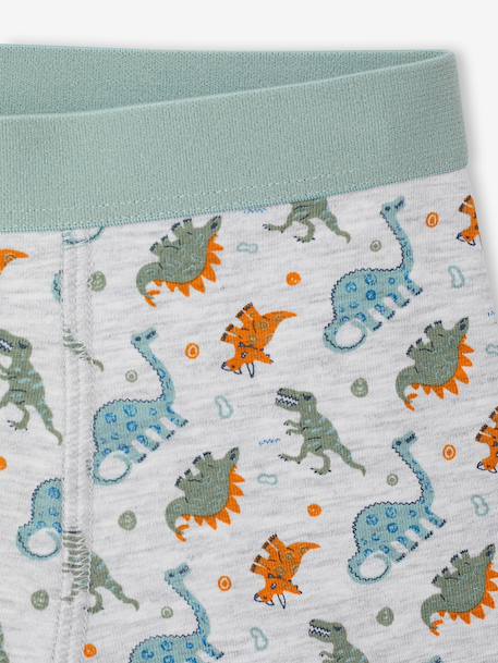 Pack of 5 boxer shorts for boys aqua green 