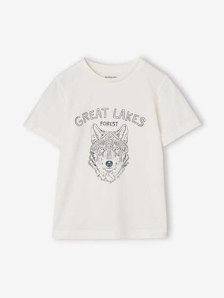 Pack of 3 short-sleeved t-shirts caramel+navy blue+pecan nut+sage green 