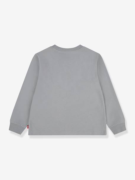 The T-shirt long-sleeved Batwing by LEVI'S grey 