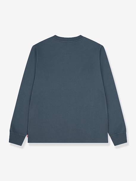 Long-sleeved T-shirt by LEVI'S dark grey 