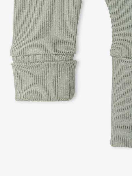Progressive leggings for Babies, BASICS 6629+beige+dark brown+navy blue+pale pink+sage green 