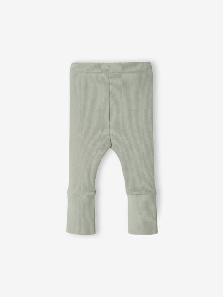 Progressive leggings for Babies, BASICS 6629+beige+dark brown+navy blue+pale pink+sage green 