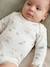 Pack of 5 long-sleeved bodysuits for baby boys ecru 