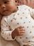 Pack of 5 long-sleeved bodysuits for newborn girls ecru 