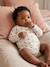 Pack of 5 long-sleeved bodysuits for newborn girls ecru 