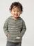 Striped Hooded Top for Baby Boys crystal blue+green+sandy beige+tomato red 