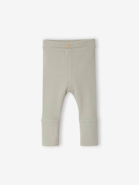 Progressive leggings for Babies, BASICS 6629+beige+dark brown+navy blue+pale pink+sage green 