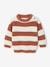 Striped jumper for baby boys navy blue+terracotta 