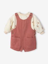 Baby-Baby girls sweatshirt and pinafore shorts set