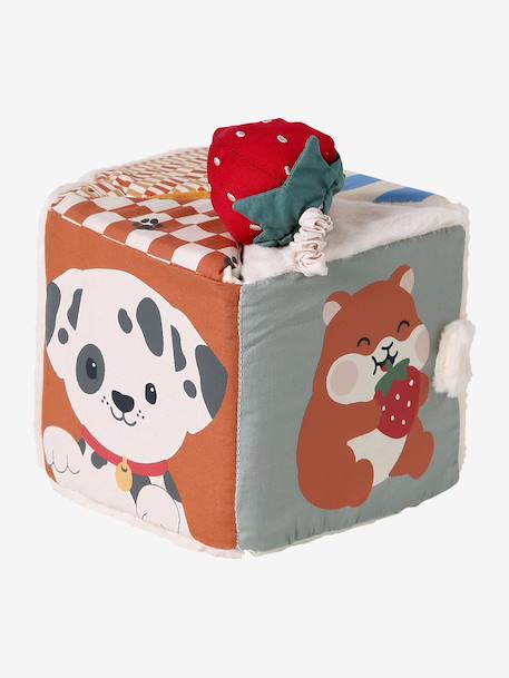 Big Family fold-out activity cube multicoloured 