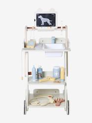 -FSC®100% wooden veterinary pushchair
