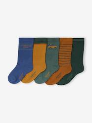 -Pack of 5 socks for boys