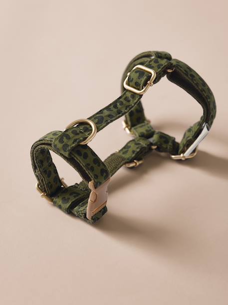 Dog walking set khaki 