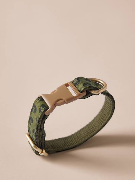 Dog walking set khaki 