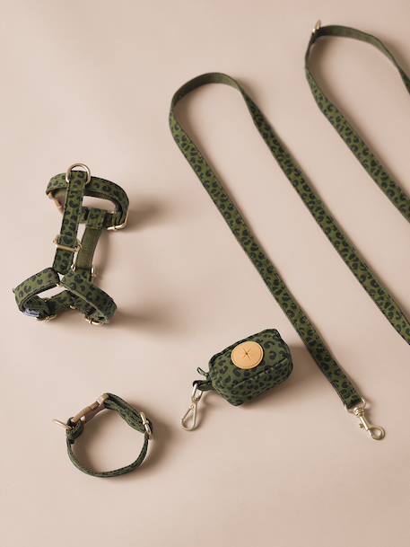 Dog walking set khaki 