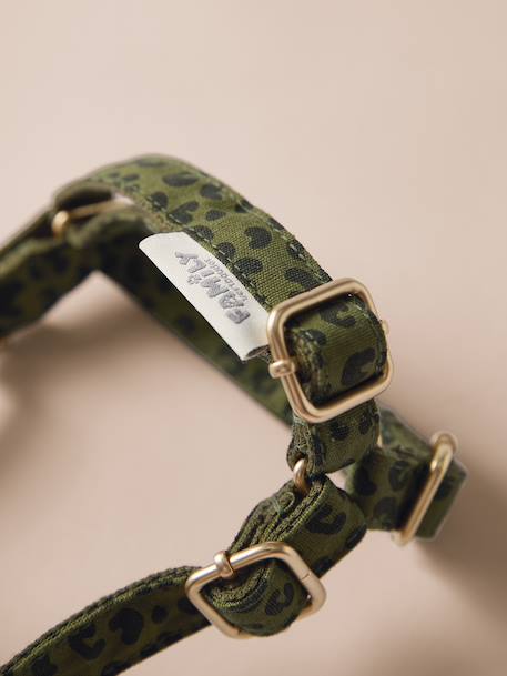 Dog walking set khaki 