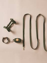 -Dog walking set