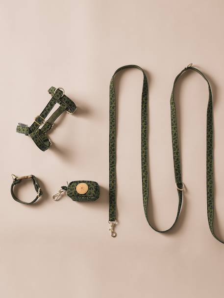 Dog walking set khaki 