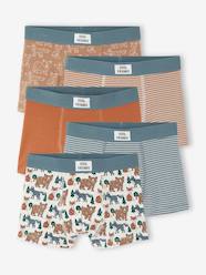 -Pack of 5 boxers for boys