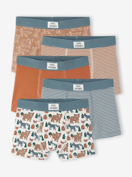 Pack of 5 boxers for boys beige 