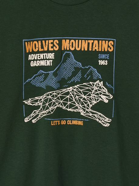 Long-sleeved T-shirt for boys green+navy blue 