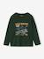 Long-sleeved T-shirt for boys green+navy blue 