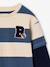 Striped T-Shirt with a Double-Sleeve Effect medium blue+striped green+striped red 
