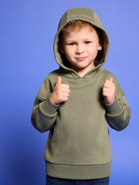 Hoodie with Motif on Chest for Boys, Basics orange+sage green 