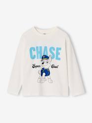 Boys-PAW Patrol long-sleeved T-shirt for boys