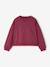 Sweatshirt and joggers set for girls plum 