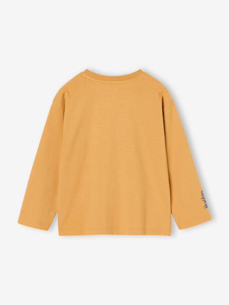 Long-sleeved T-shirt with slogan print for boys anthracite+pistachio+yellow 