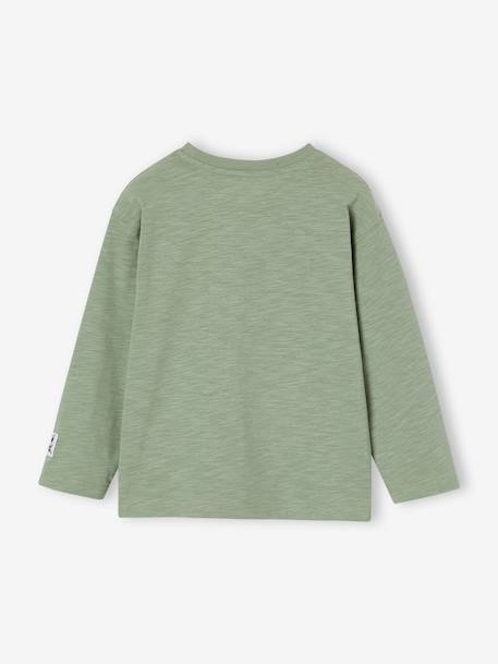 Flocked Long-Sleeved T-Shirt for Boys dusky pink+sage green 