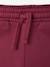 Sweatshirt and joggers set for girls plum 