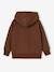Hooded sweatshirt for boys brown 