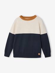 Boys-Customisable crew neck sweatshirt for boys
