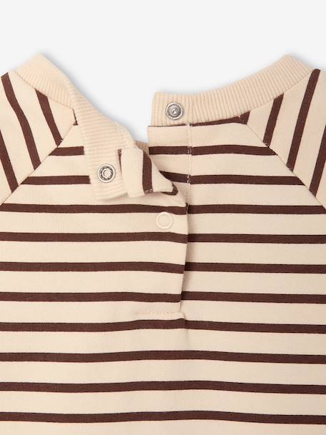 Simba outfit for baby boys chocolate 